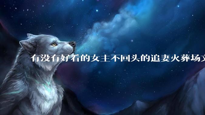 有没有好看的女主不回头的追妻火葬场文？
