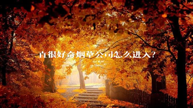 一直很好奇烟草公司怎么进入？