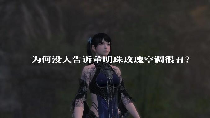 为何没人告诉董明珠玫瑰空调很丑？