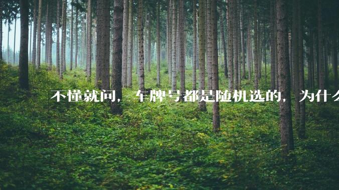不懂就问，车牌号都是随机选的，为什么好车牌号大部分都在豪车身上呢?